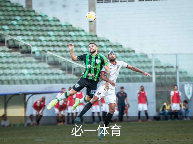 必一体育介绍